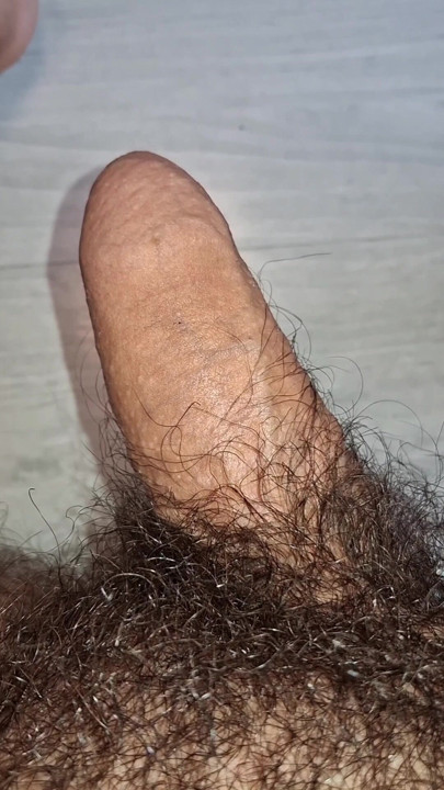 My hairy cock