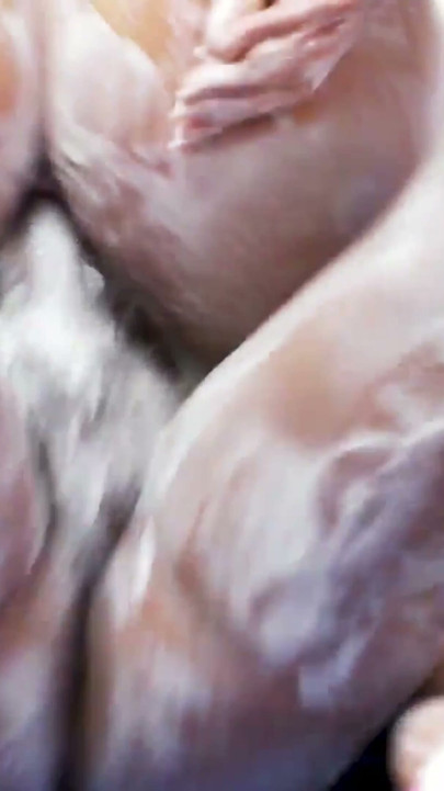 Bellina, Roxy Taggart And Leila Bee Have A Marshmallow Fluff | Clip 1