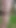 Smooth pantyboy walking around a forest and masturbating | Clip 1