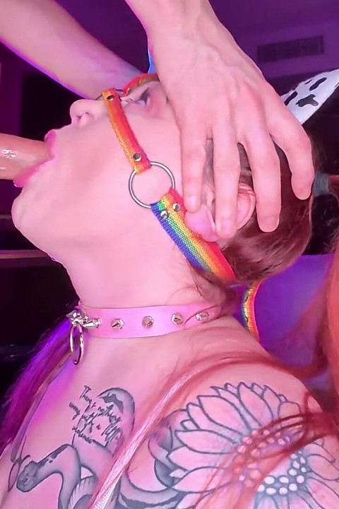 The Unicorns Interview