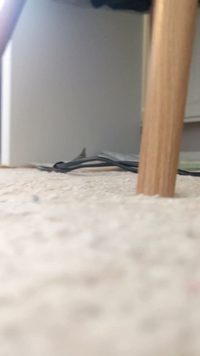 LILY KINKS GIANTESS TINY MAN TOY COMPILATION | Clip 1