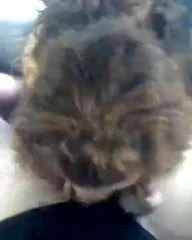 my girl loves suckin cock