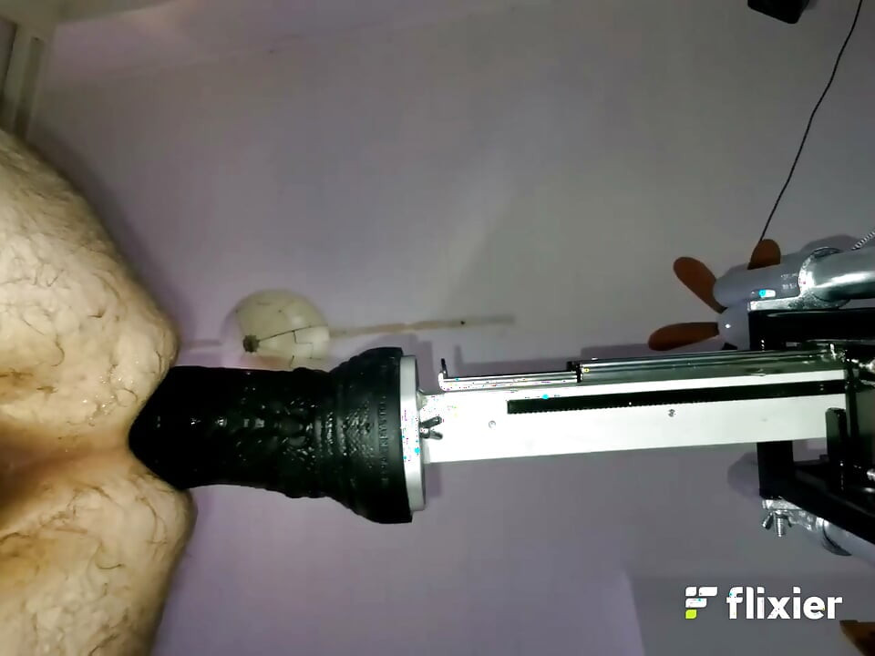 Mr. Hankey's Dragon Dildo Xl Full Insertion Doggy Anal Fucking Machine