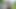 क्या आपने उसे सड़कों पर देखा है?