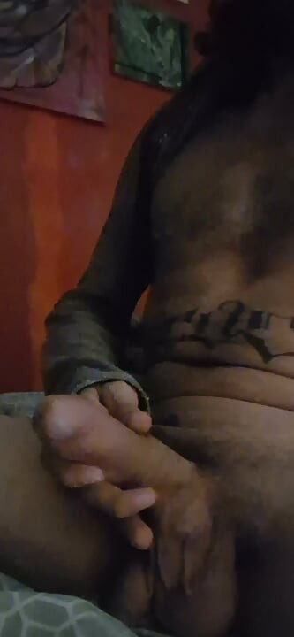 Horký OBROBSKÝ PTÁK