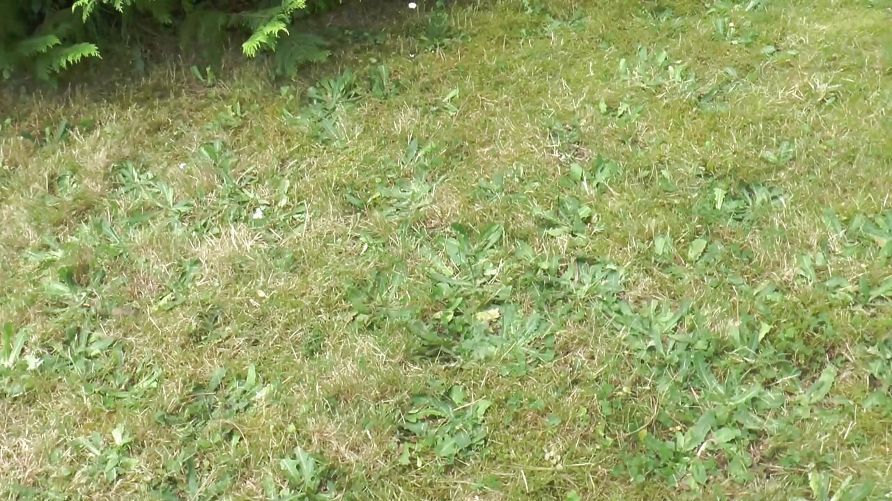 The Older Women Are Masturbating Each Other and Pleasuring Themselves with Dildos in the Garden.