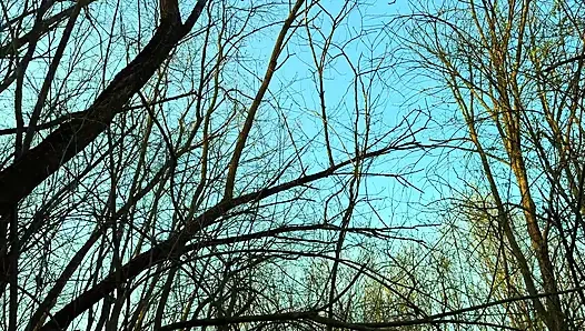 Orang asing misterius yang cantik dipanggil ke hutan untuk ngentot (pov)