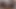 Porno Oyuncu Oyunculuğu Alternatif Cutie