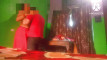 Video pregled