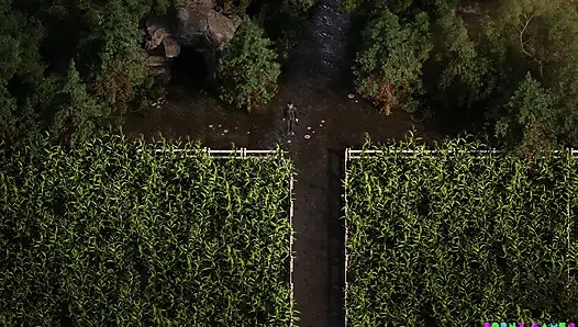 Urutan genesis (oleh NLT) - bagian. 29 (NVO)