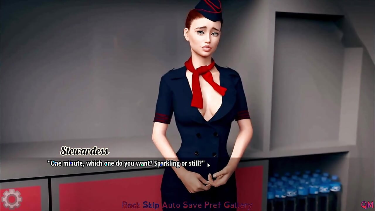 Seks in het vliegtuig met stewardess