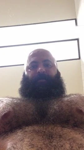 hot hairy sexy daddy
