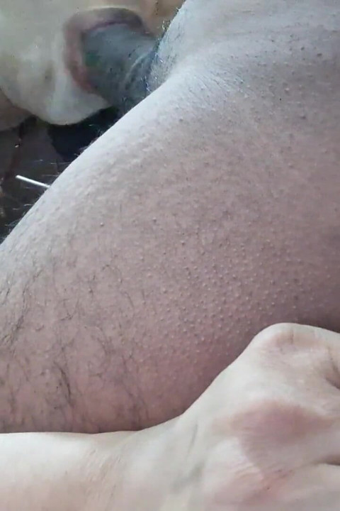 Sexy Hardcore Blowjob Given by Desi Hot Horny Wife