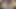 The teenage boy agrees to record a porn video for the class teacher and pass the exam