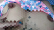 Pregled videozapisa