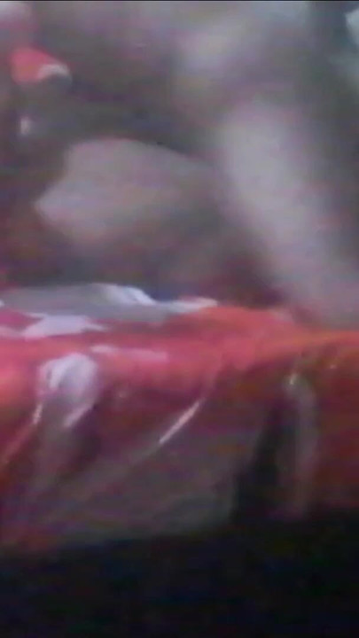 Thrilling moment from "This bitch suck my big cock and ask me to fuck hard her horny pussy"