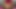 Hotkinkyjo in dark red dress fuck fat dildo from mrhankey & anal prolapse on the sofa