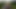ウォーク55 2025