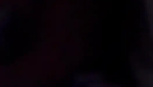 Kätzchen lutscht schwanz