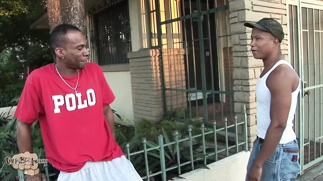 Rex & Will2k