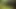 Naked walk in woods for almost an hour got me horny, huge cumshot near end