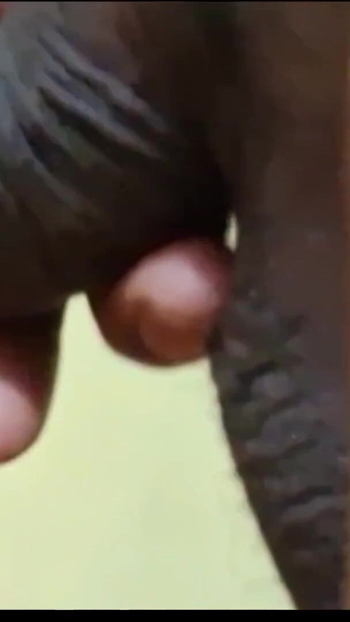 Copulas funny fuck 🥳 | Clip 1