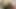 Desi bhabhi ne gaand me black dildo daala