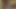 First ejaculation after 25 days! Big cumshot!