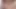 Futanari teaser
