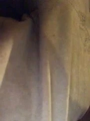 A bit of TEASING