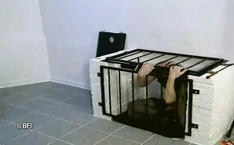 Pasangan bertindik 2