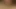 Bree loves sucking dick