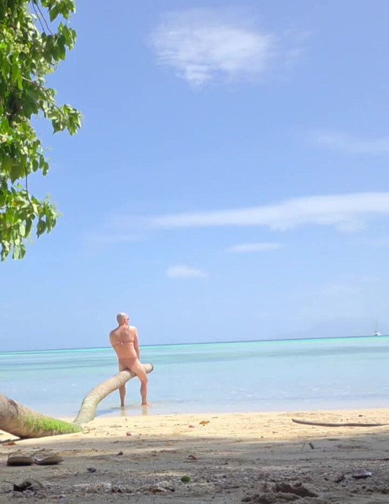 Aurora Seychelles in Paradise