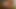 Interracial Anal For Brunette! by triplextroll