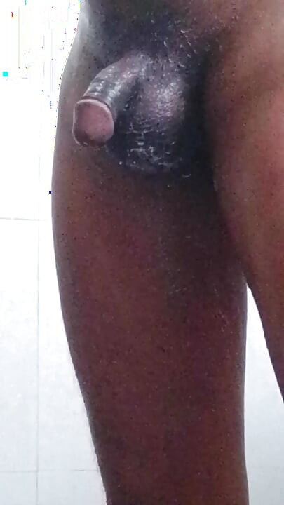 Quente grande touro