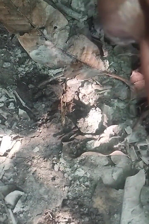 Desi Land Ki Chudai