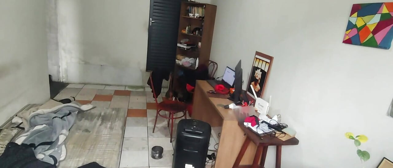 Cleaning the House