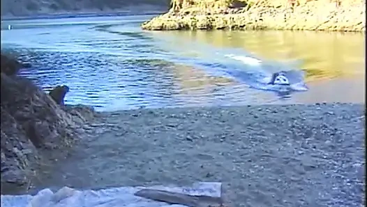 Seks threesome di pantai