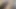 Desi lund ka tel se malish desi tel malish on dick sexy hot boy big dick and mutthi massage and out sperms