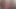 TerryTrans Ich wichse meinen harten Minipimmel I wank my tiny hard cock