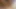 close-up cumshot from manual penis stimulation by a fat woman