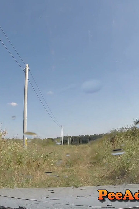Pee on the windshield (view from inside the car)