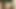 リアル・エロティック・ガールズ
