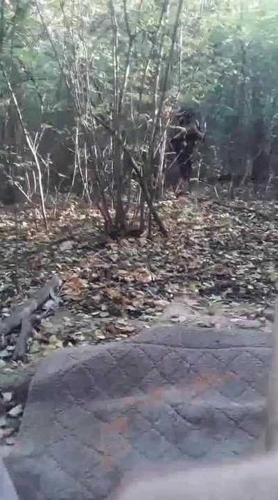 Getting Blown in a Public Park