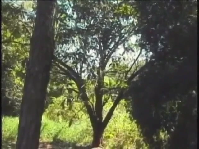 Ağaçların başındaki hatunlar amcığını yalıyor ve dildo kullanarak götünü siktiriyor