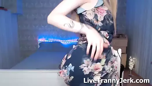 michelle morton Tranny Live Sex 3