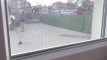 Pratinjau video