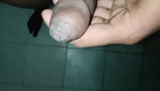 Hintli zenci yarağı