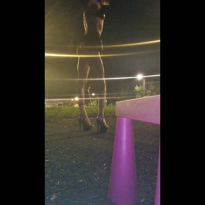 A Whore in a Mini-skirt Ras Du Cul, on the Edge of the Nationale 7 in Brunoy. 2h00 Vanessabitchx Parischiennetrvprod