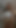 No DMs. Just tap subscribe